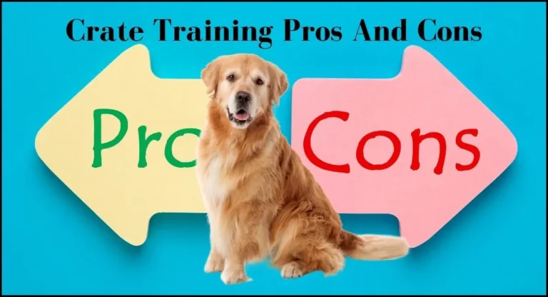Crate Training Pros And Cons: 6 Advantages