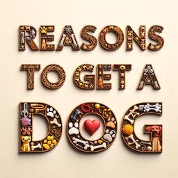10 Reasons to Get a Dog