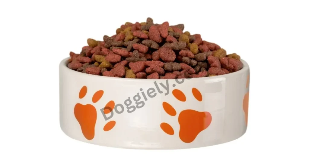 Best Dog Food for Tear Stains