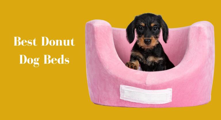 8 Best Donut Dog Beds In 2024