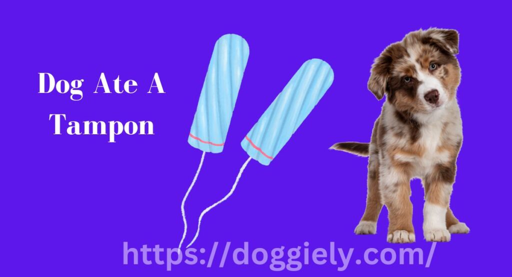 Dog Ate Used Tampons